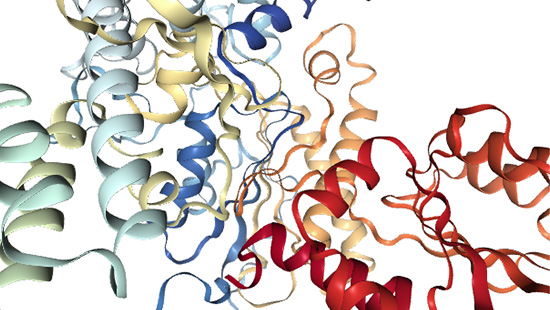 Colorful protein structure with intertwined helices on a black background.